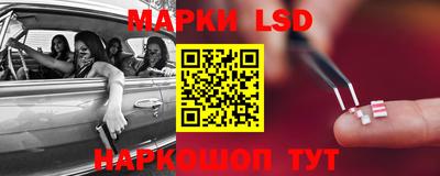 МДПВ Гатчина