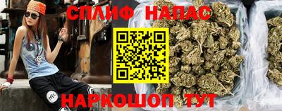 МДПВ Гатчина