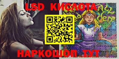 МДПВ Гатчина
