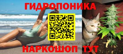 таблы Гай