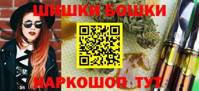 МДПВ Гатчина
