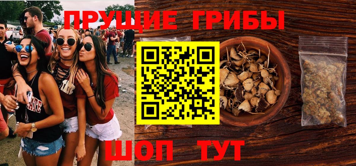 Псилоцибиновые грибы Psilocybe  Вход с VPN  Губкин 